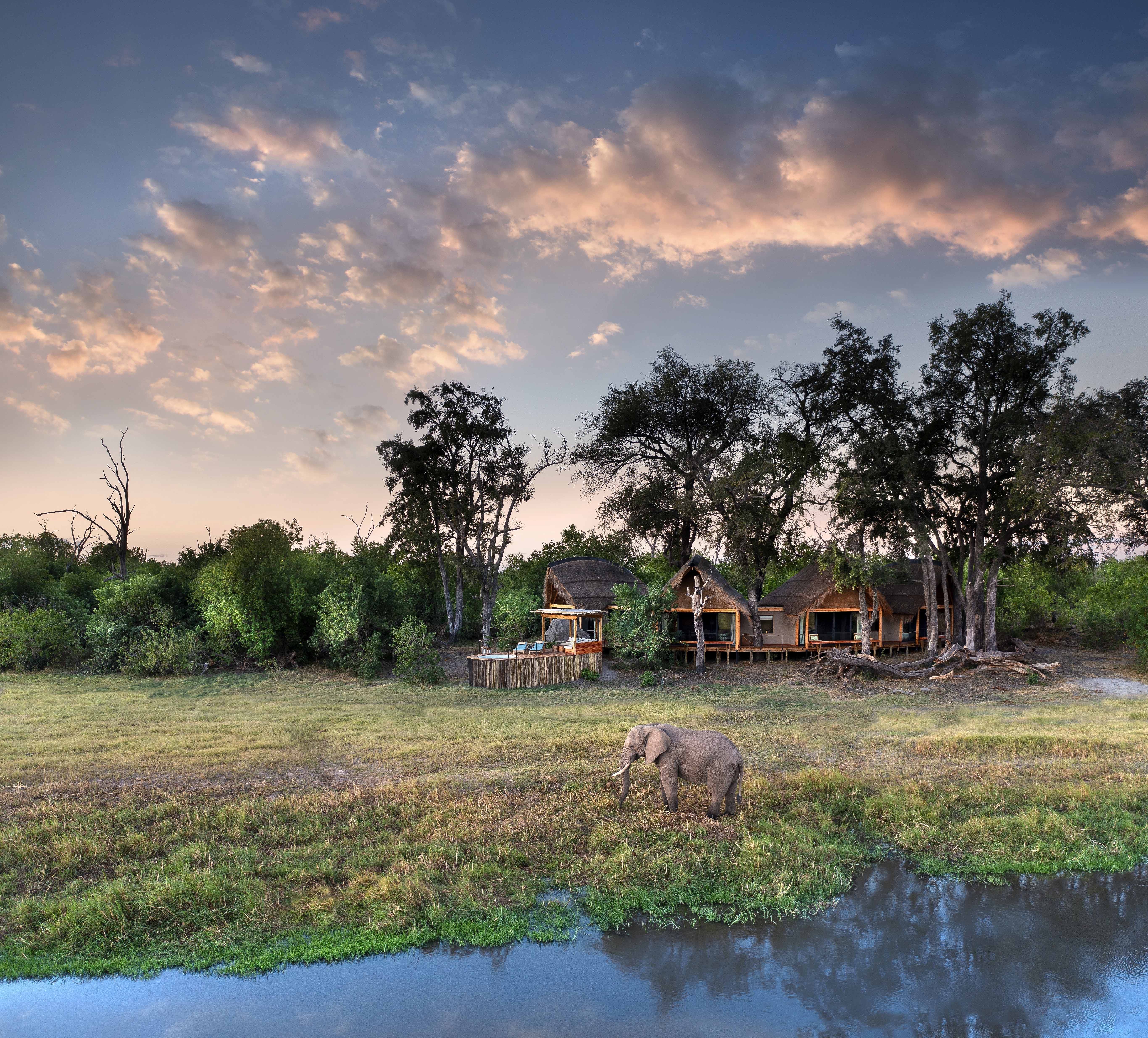 Okavango-deltaet — vann og villmark møtes i Botswana